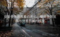反复使用后再看白虎91：整体使用氛围与浏览节奏的感受
