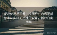 反复使用后再看白虎图片：内容更新频率与实际可用性的观察，播放白虎图案