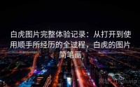白虎图片完整体验记录：从打开到使用顺手所经历的全过程，白虎的图片简笔画