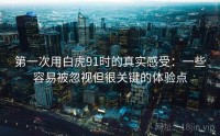 第一次用白虎91时的真实感受：一些容易被忽视但很关键的体验点