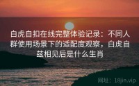 白虎自扣在线完整体验记录：不同人群使用场景下的适配度观察，白虎自兹相见后是什么生肖