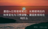 蘑菇tv日常使用笔记：长期使用后的效率变化与习惯调整，蘑菇影视现在叫什么
