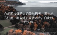 白虎图片体验向记录与思考：哪些地方好用，哪些地方需要适应，白虎照片头像