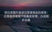 把白虎图片放进日常使用后的感受：日常高频使用下的真实反馈，白虎照片头像