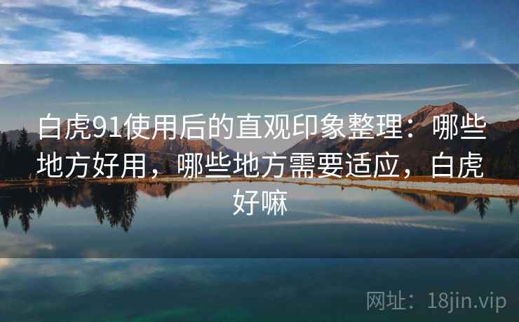 白虎91使用后的直观印象整理：哪些地方好用，哪些地方需要适应，白虎好嘛