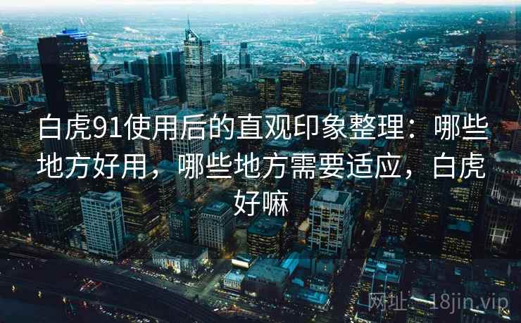 白虎91使用后的直观印象整理：哪些地方好用，哪些地方需要适应，白虎好嘛