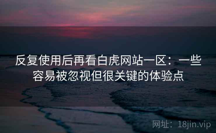 反复使用后再看白虎网站一区：一些容易被忽视但很关键的体验点