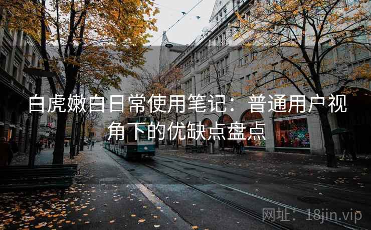 白虎嫩白日常使用笔记：普通用户视角下的优缺点盘点