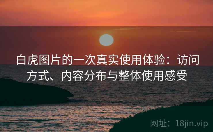 白虎图片的一次真实使用体验:访问方式、内容分布与整体使用感受 白虎图片的一次真实使用体验:访问方式、内容分布与整体使用感受