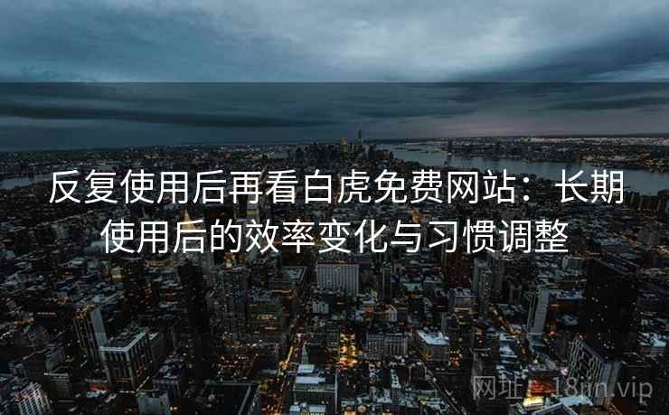 反复使用后再看白虎免费网站：长期使用后的效率变化与习惯调整