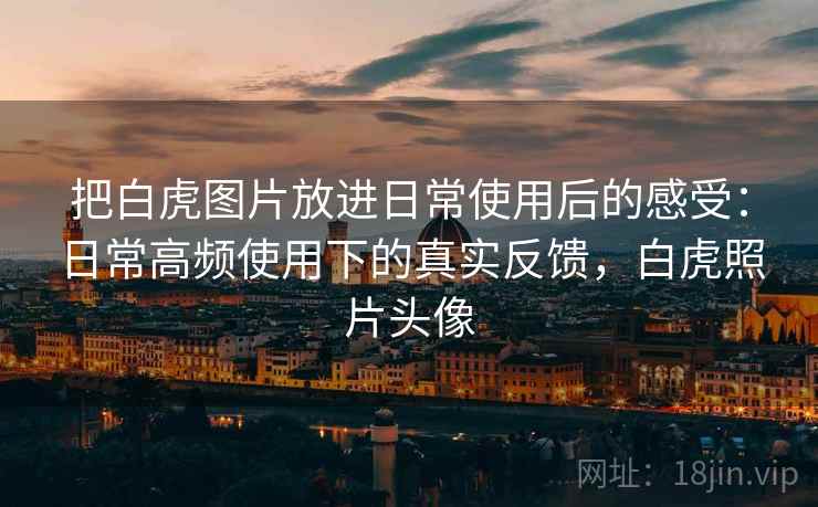 把白虎图片放进日常使用后的感受：日常高频使用下的真实反馈，白虎照片头像