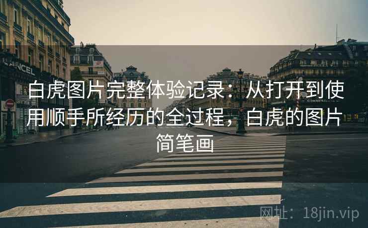 白虎图片完整体验记录:从打开到使用顺手所经历的全过程,白虎的图片简笔画 白虎图片完整体验记录:从打开到使用顺手所经历的全过程,白虎的图片简笔画