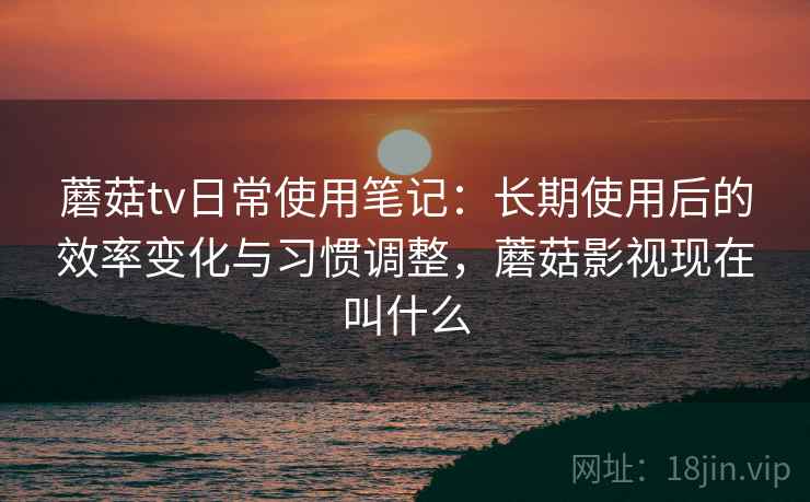 蘑菇tv日常使用笔记：长期使用后的效率变化与习惯调整，蘑菇影视现在叫什么
