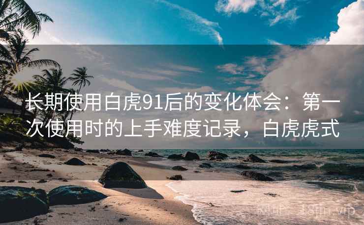 长期使用白虎91后的变化体会：第一次使用时的上手难度记录，白虎虎式