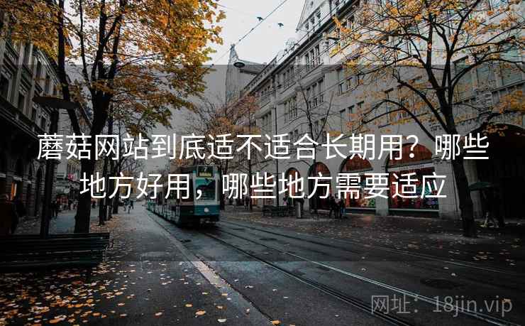 蘑菇网站到底适不适合长期用？哪些地方好用，哪些地方需要适应