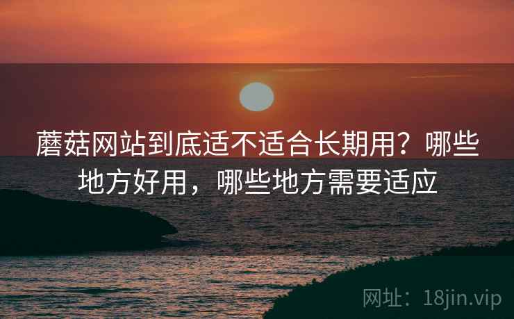 蘑菇网站到底适不适合长期用？哪些地方好用，哪些地方需要适应