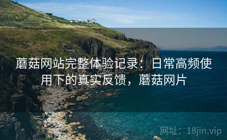蘑菇网站完整体验记录：日常高频使用下的真实反馈，蘑菇网片
