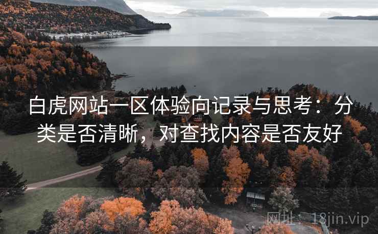 白虎网站一区体验向记录与思考：分类是否清晰，对查找内容是否友好