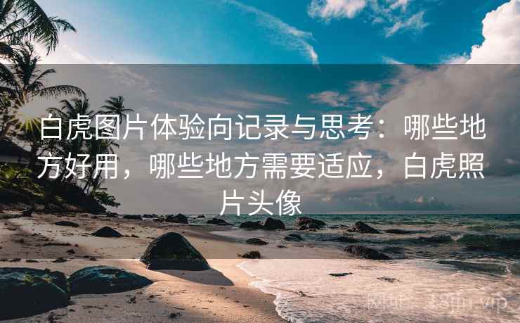 白虎图片体验向记录与思考：哪些地方好用，哪些地方需要适应，白虎照片头像
